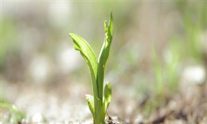 2024年鋁合金市場深度調查研究報告 預計2029年市場銷售額將達到3798億元 復合年增長率為63%(圖2)