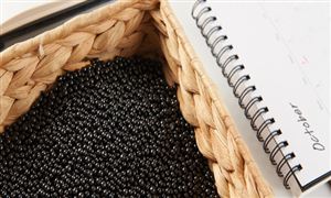 2024年鋁合金市場深度調查研究報告 預計2029年市場銷售額將達到3798億元 復合年增長率為63%(圖3)