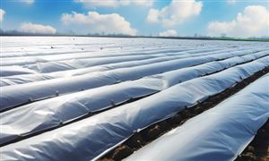 2024年工業(yè)鋁型材行業(yè)市場(chǎng)發(fā)展現(xiàn)狀及發(fā)展趨勢(shì)(圖2)