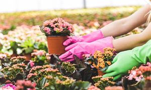 鋁型材行業發展概況及行業發展方向分析2024(圖5)