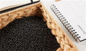 鋁型材行業發展概況及行業發展方向分析2024(圖6)