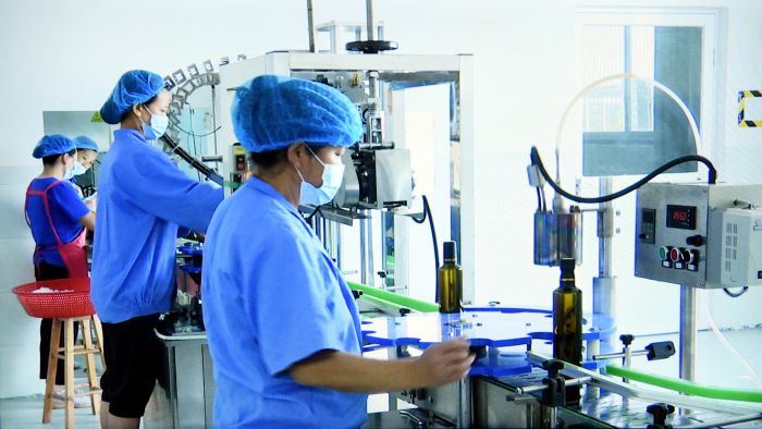 廣元朝天： 企業生產“加速跑” 奮力沖刺“全年紅”(圖1)