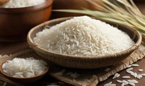 九游app：2024中國幕墻行業現狀及發展預測：預計幕墻市場總量保持增長態勢(圖6)