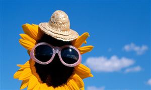 2024建筑幕墻行業整體規模及投資機遇分析(圖7)