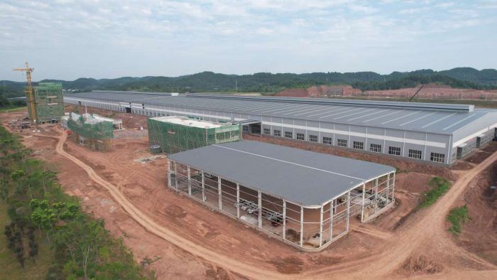 九游體育：工業·新“城”勢丨資陽樂至：夯實高質量發展“底盤” 新型工業化邁出堅實步伐(圖2)