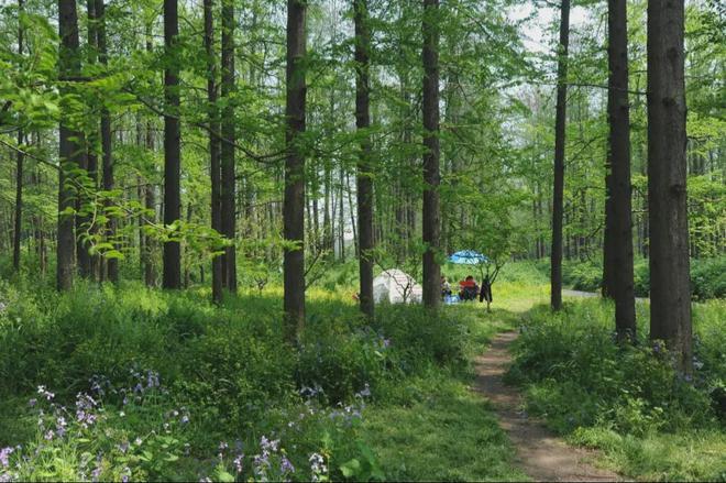 九游app：越秀楊浦天玥(售樓處)2024官方網站歡迎您-樓盤詳情-售樓中心(圖37)