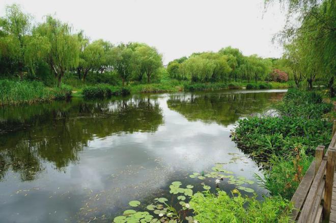 九游app：越秀楊浦天玥(售樓處)2024官方網站歡迎您-樓盤詳情-售樓中心(圖38)