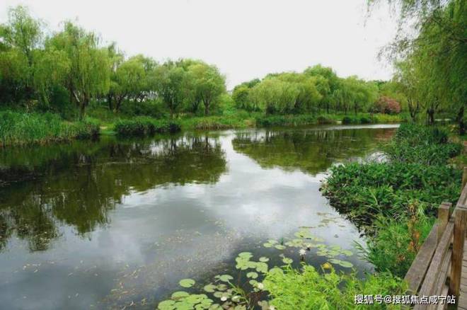 九游官網(wǎng)入口：楊浦天玥-(越秀·楊浦天玥)首頁(yè)網(wǎng)站-2024年最新價(jià)格(圖17)