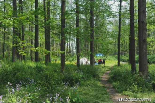 九游官網(wǎng)入口：楊浦天玥-(越秀·楊浦天玥)首頁(yè)網(wǎng)站-2024年最新價(jià)格(圖16)