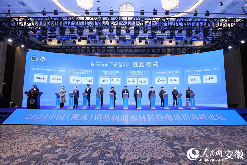 2024中國（濉溪）鋁基新能源材料暨電池箔高峰論壇舉行(圖3)