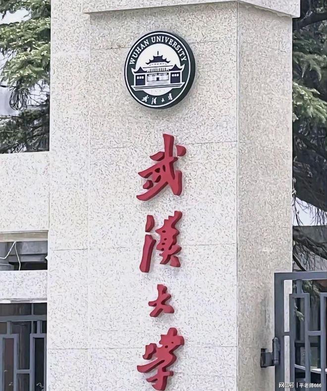 楊景媛誣告同學、威脅法官武漢大學被她拿捏住了嗎？細節曝光(圖2)