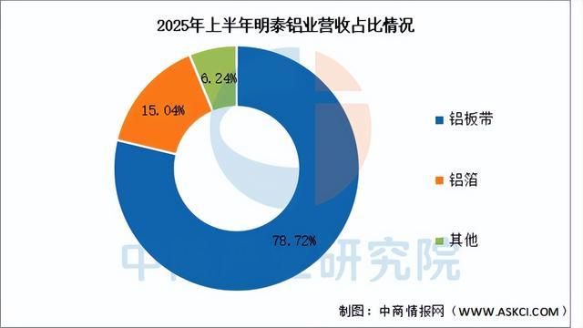2025年中國鋁型材行業市場前景預測研究報告（簡版）(圖14)