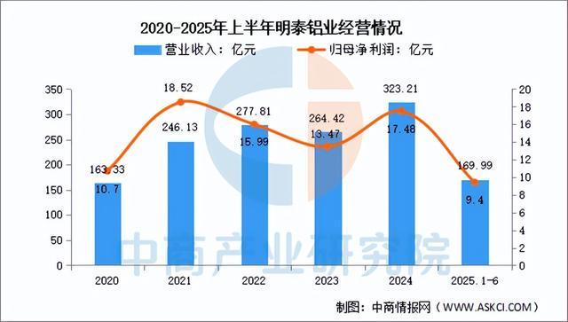 2025年中國鋁型材行業市場前景預測研究報告（簡版）(圖13)