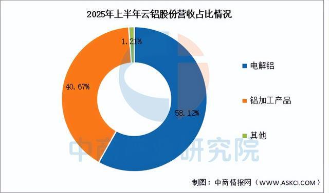 2025年中國鋁型材行業市場前景預測研究報告（簡版）(圖10)