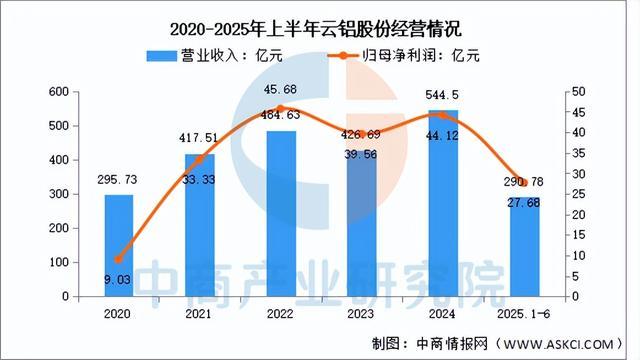 2025年中國鋁型材行業市場前景預測研究報告（簡版）(圖9)