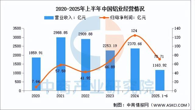 2025年中國鋁型材行業市場前景預測研究報告（簡版）(圖8)
