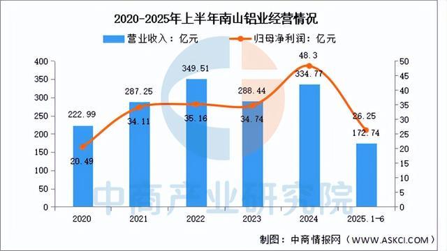 2025年中國鋁型材行業市場前景預測研究報告（簡版）(圖11)