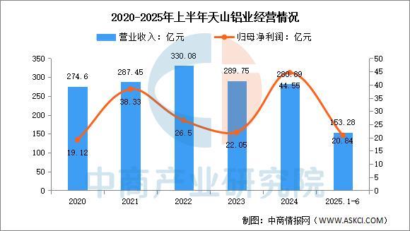 2025年中國鋁型材行業市場前景預測研究報告（簡版）(圖15)