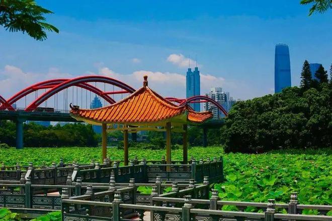 九游體育：海歸特價房??仁恒深之源官方營銷中心官方電話?售樓處團購優惠(圖10)