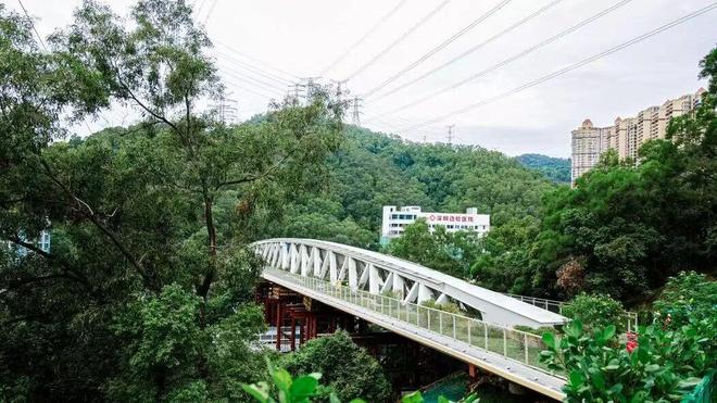 深圳罕見“趕人”畫面曝光！網(wǎng)友：真·瘋狂動物城