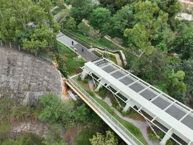 深圳罕見“趕人”畫面曝光！網友：真·瘋狂動物城(圖2)