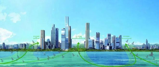 深圳罕見“趕人”畫面曝光！網友：真·瘋狂動物城(圖4)