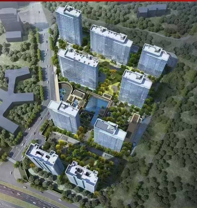 九游app：合肥偉星T10 從品質交付到長效服務的溫暖跨越(圖5)