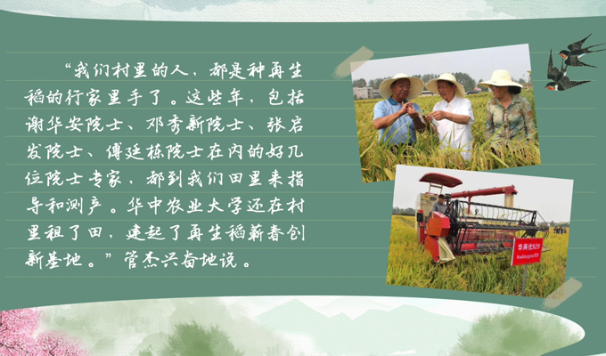 春耕時節 我們在行動_光明網(圖3)