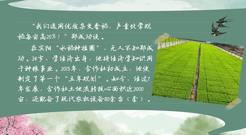 春耕時節 我們在行動_光明網(圖12)