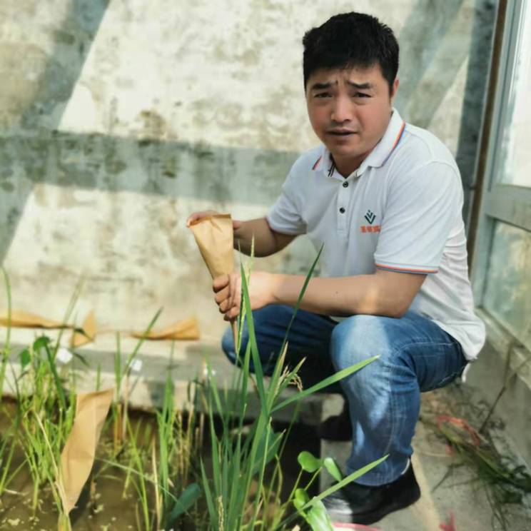 春耕時節 我們在行動_光明網(圖22)