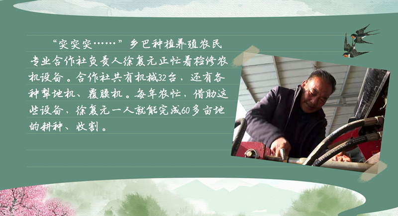 春耕時節 我們在行動_光明網(圖17)