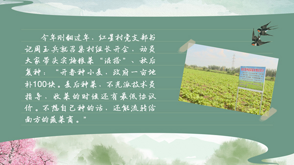 春耕時節 我們在行動_光明網(圖27)