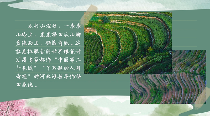 春耕時節 我們在行動_光明網(圖35)