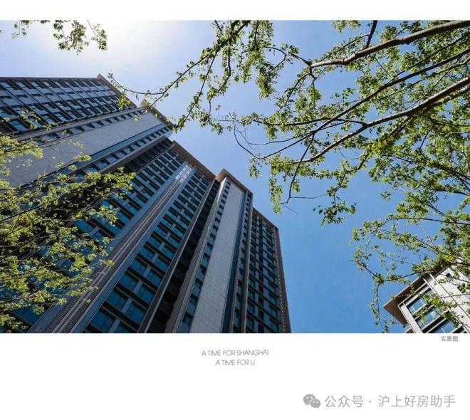 九游官網入口：官方聚焦縵云上海售樓處官方發布：上?？z云理想置業優選(圖31)