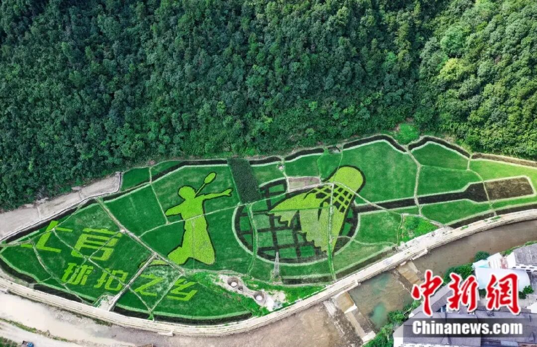 九游官網入口：富春江邊的一個鄉用50年把球拍做“透”了(圖3)